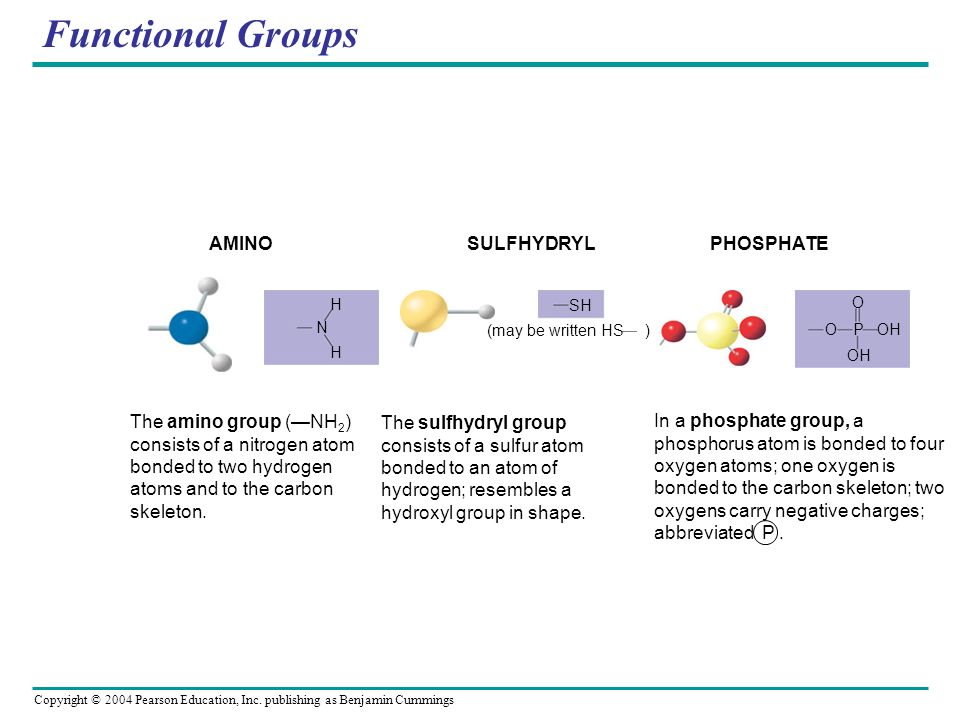 Glycine Functional Group 7