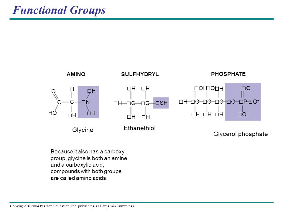 Glycine Functional Group 51