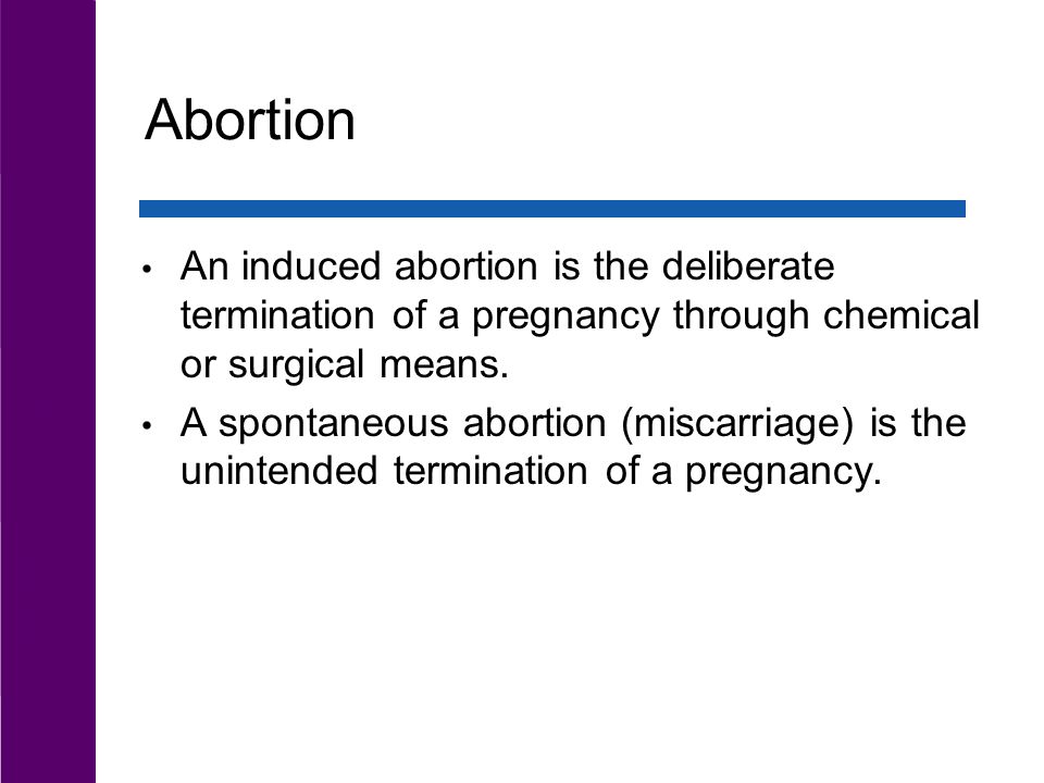 abortion term paper