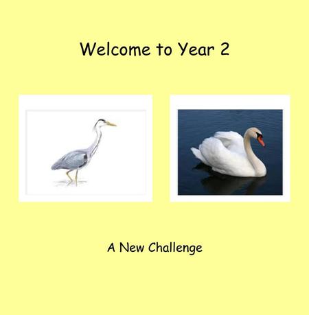 Welcome to Year 2 A New Challenge.