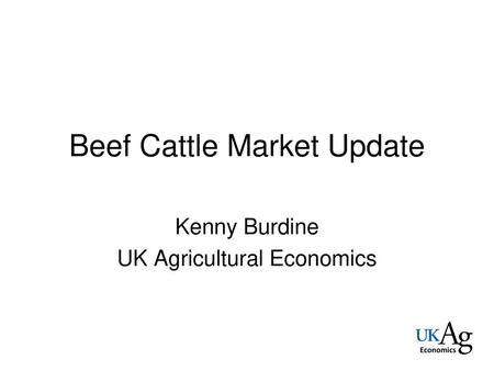 Beef Cattle Market Update
