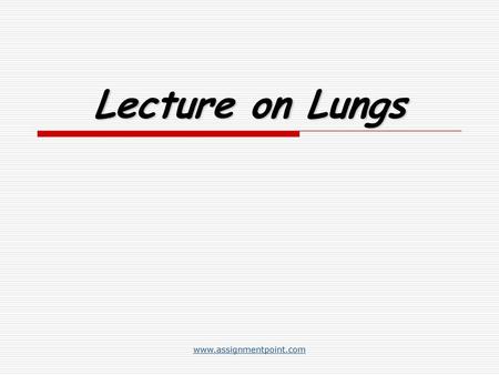 Lecture on Lungs www.assignmentpoint.com.