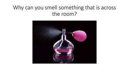 Why can you smell something that is across the room?