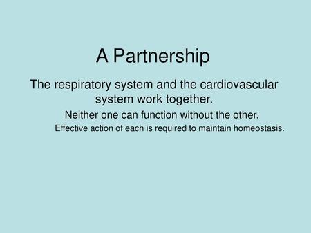A Partnership The respiratory system and the cardiovascular system work together. Neither one can function without the other. Effective action of each.