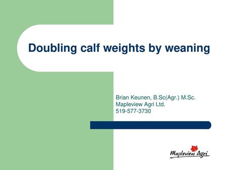Doubling calf weights by weaning