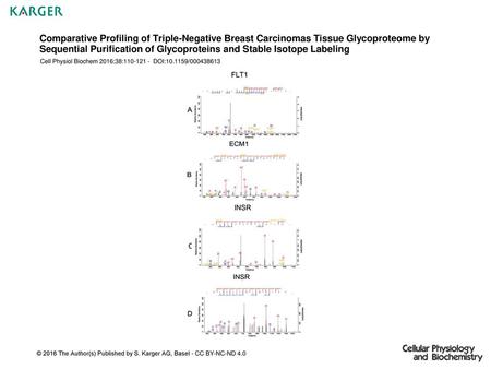 Comparative Profiling of Triple-Negative Breast Carcinomas Tissue Glycoproteome by Sequential Purification of Glycoproteins and Stable Isotope Labeling.