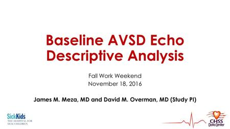Baseline AVSD Echo Descriptive Analysis
