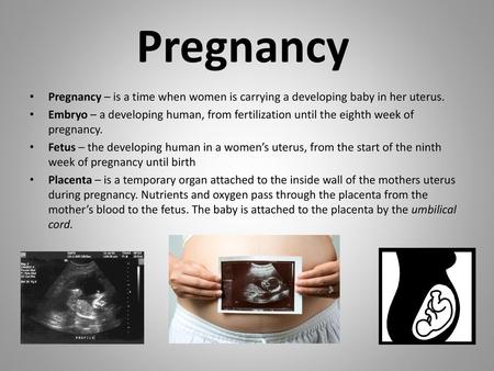 Pregnancy Pregnancy – is a time when women is carrying a developing baby in her uterus. Embryo – a developing human, from fertilization until the eighth.