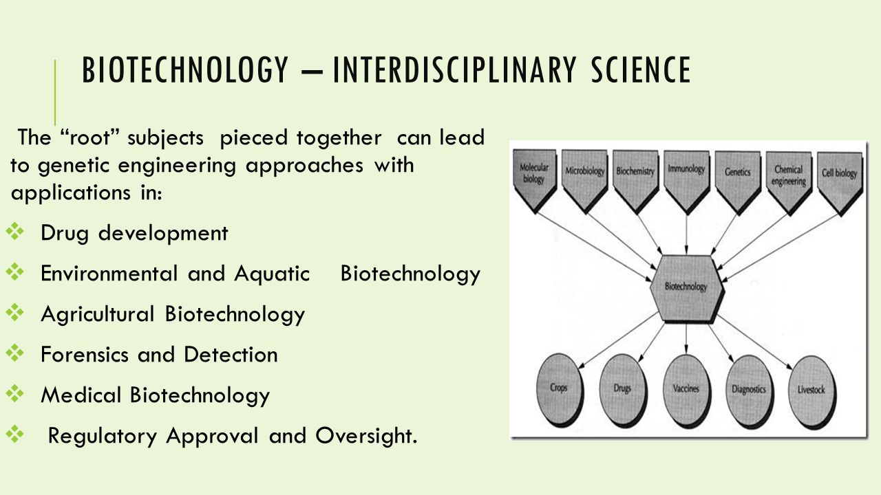 schaums outline of microbiology second