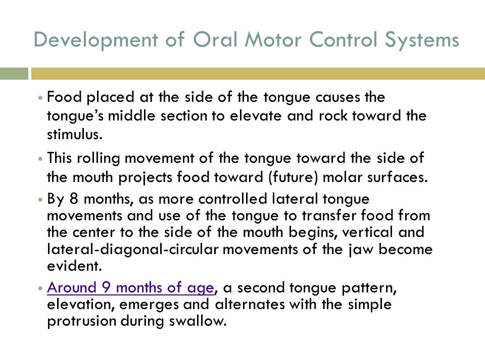 Oral Motor Control 104