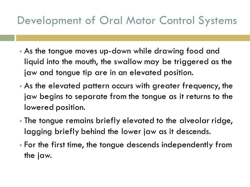 Oral Motor Control 26