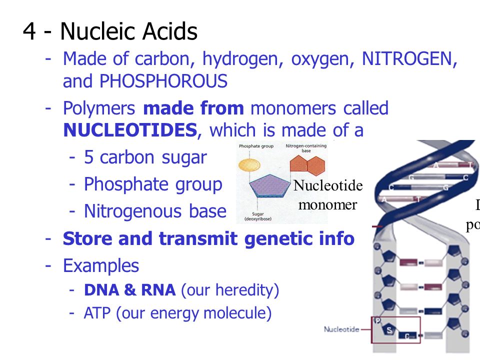 download metallomics and