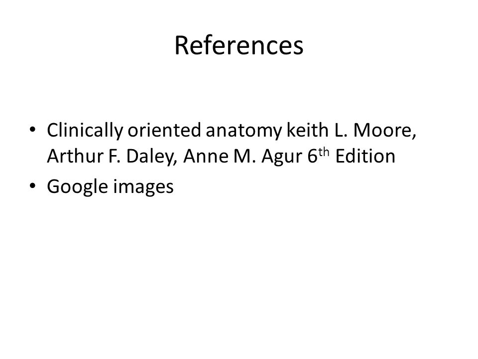 Download Clinically Oriented Anatomy by Keith L Moore Pdf