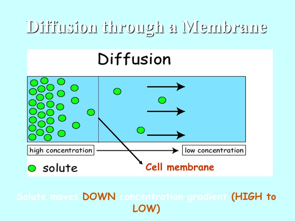 download photochemistry of organic