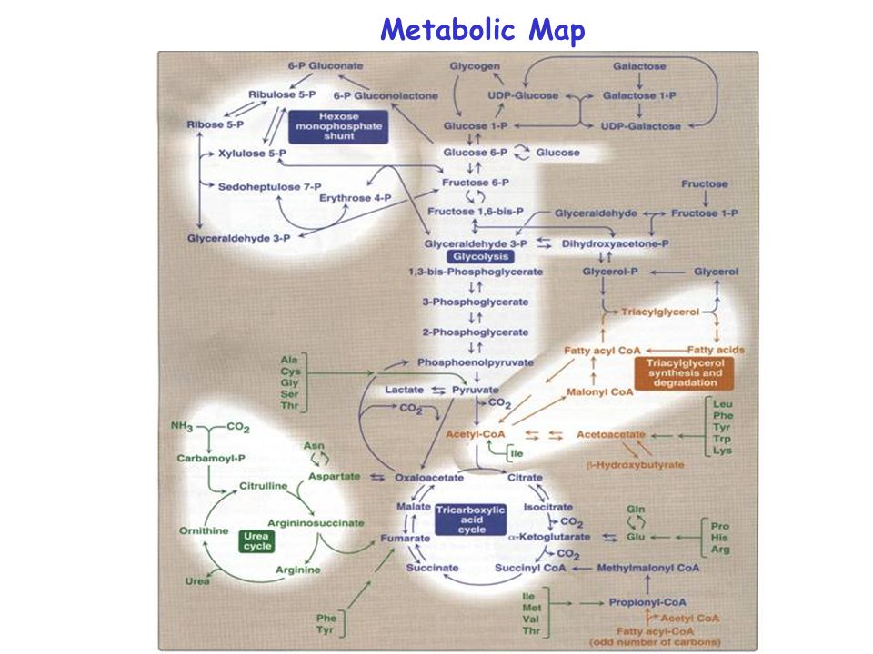 view data modelers workbench tools and