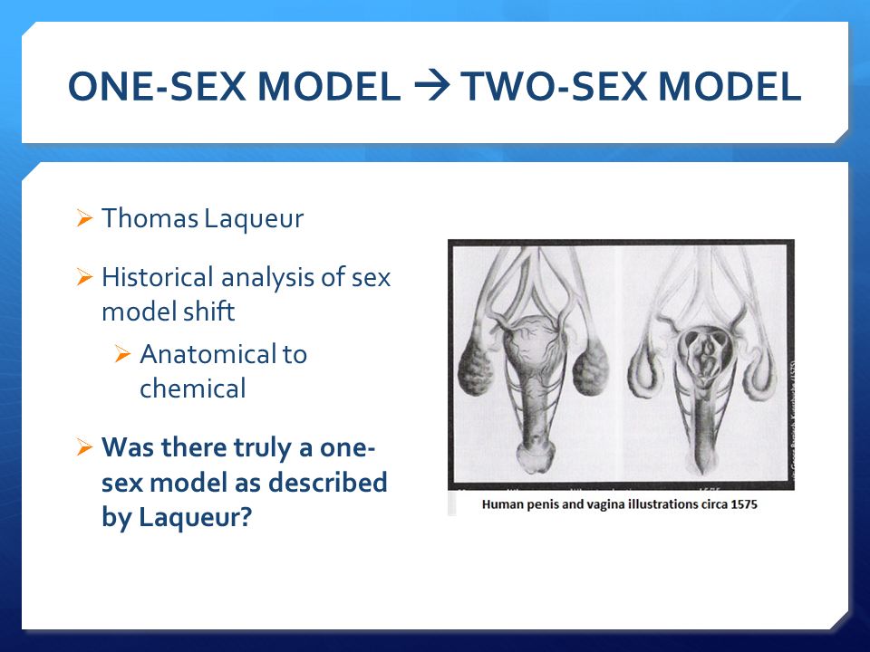 One Sex Model 11