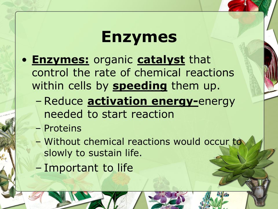 download energy and the financial system what