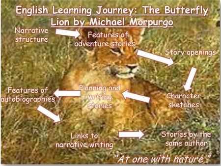 English Learning Journey: The Butterfly Lion by Michael Morpurgo