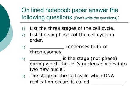 List the three stages of the cell cycle.