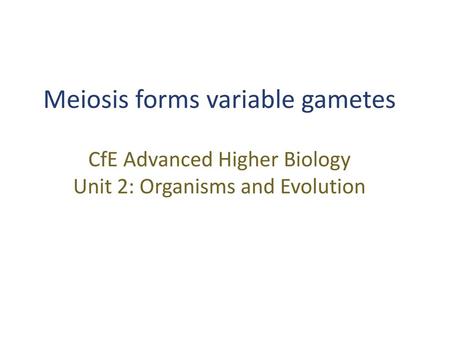 2bii – Meiosis forms variable gametes