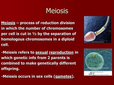 Meiosis Meiosis – process of reduction division