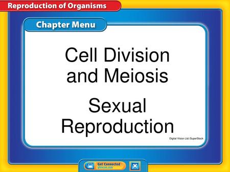 Cell Division and Meiosis