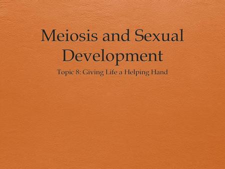 Meiosis and Sexual Development