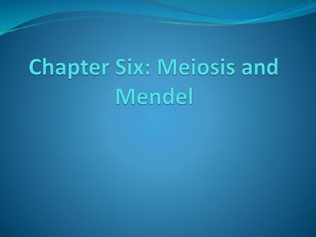 Chapter Six: Meiosis and Mendel