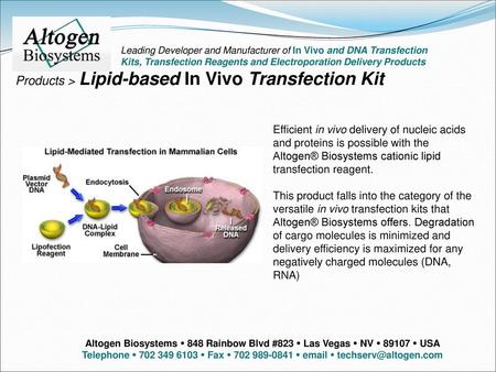 Products > Lipid-based In Vivo Transfection Kit
