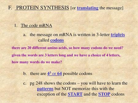 F. PROTEIN SYNTHESIS [or translating the message]