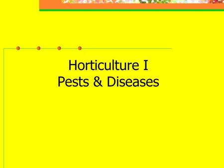 Horticulture I Pests & Diseases