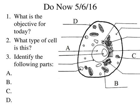 Do Now 5/6/16 What is the objective for today?