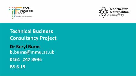 Technical Business Consultancy Project