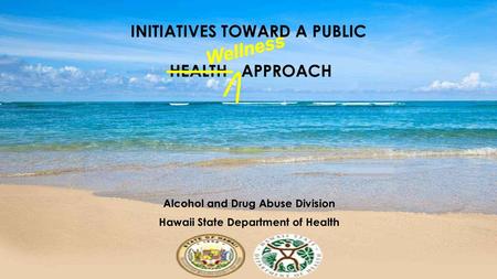 Initiatives Toward A Public Health Approach