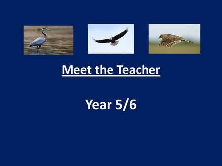 Meet the Teacher Year 5/6.