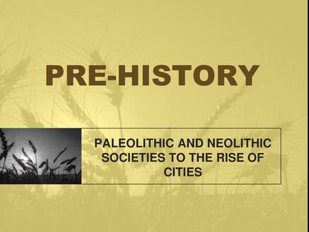 PALEOLITHIC AND NEOLITHIC SOCIETIES TO THE RISE OF CITIES