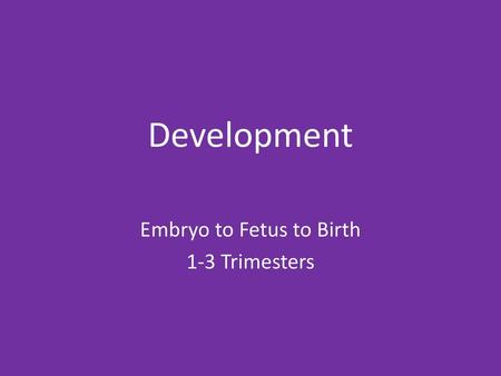 Embryo to Fetus to Birth 1-3 Trimesters