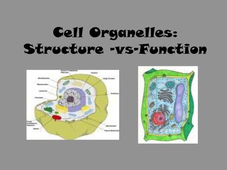 Cell Organelles: Structure –vs-Function