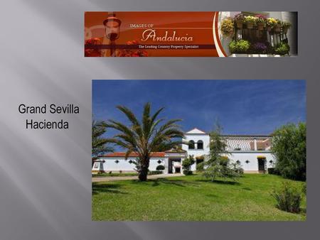 Grand Sevilla Hacienda