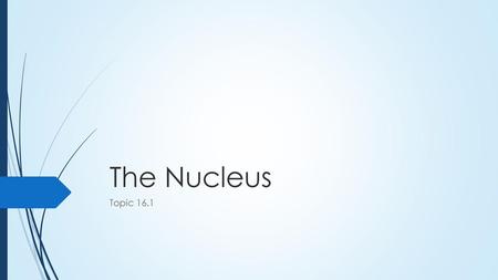 The Nucleus Topic 16.1.