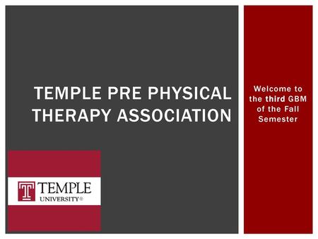 Temple pre physical therapy association