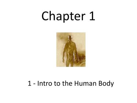 1 - Intro to the Human Body