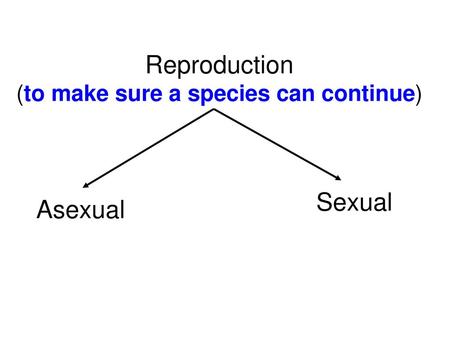 Reproduction (to make sure a species can continue)