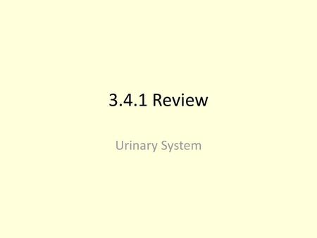 3.4.1 Review Urinary System.