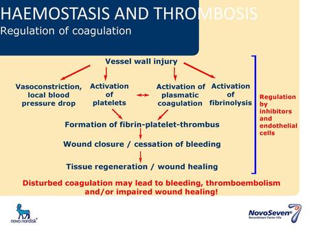HAEMOSTASIS AND THROMBOSIS Regulation of coagulation