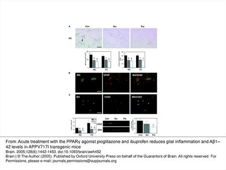 Fig. 1 Anti-inflammatory drug treatment reduces the number of reactive microglia in the hippocampus of APPV717I mice. APPV717I transgenic mice (10 months.