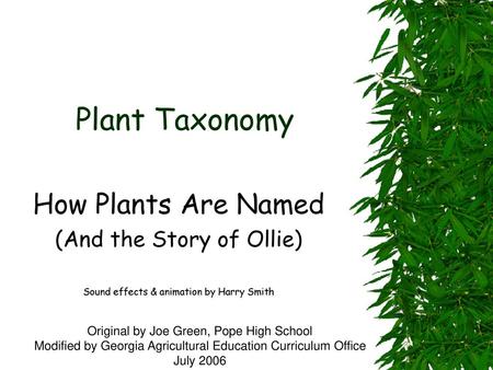 Plant Taxonomy How Plants Are Named (And the Story of Ollie)