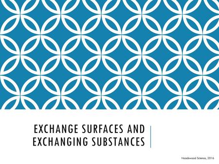 Exchange Surfaces and Exchanging Substances