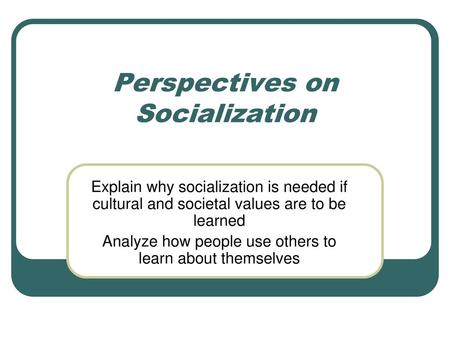 Perspectives on Socialization