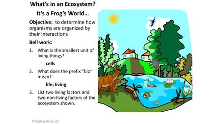 What’s in an Ecosystem? It’s a Frog’s World…